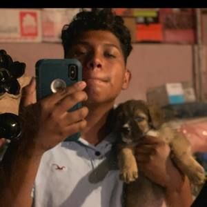 Meet your Posher, Leonardo